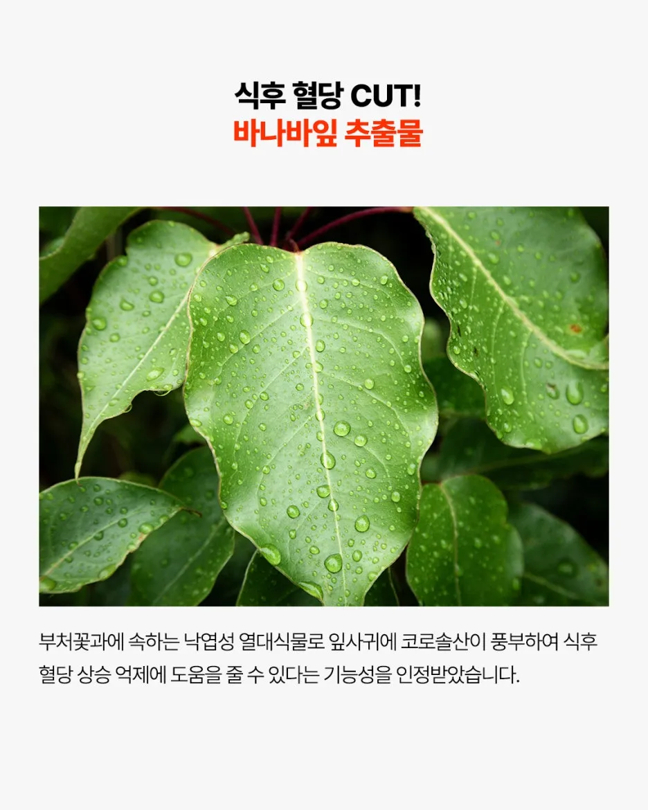 %ED%95%98%EC%9D%B4%EB%93%9C%EB%A1%9C%EB%B0%80%ED%81%AC%EC%94%A8%EC%8A%AC_NEWS_P7.jpg?type=w1