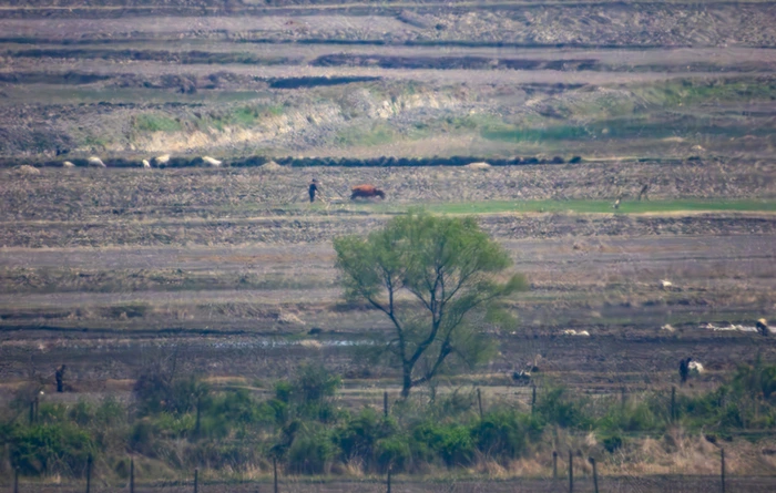 AD_4nXdG6LyXsoXZNKmYZ-EFKimUjpHbr28GnD4qV9x17aK_hiSefwoZ-LgTLR_ZAc4HyGBgoVr4lkWh_AKijRSfwGg-8iKT0cJRTn0s02bvQ8F2RYDl7UIV5dClwA0hLRuFq3SvAJKenohPjFdiUq5njlzS1Qfg5v68c04qoOv-SQ?key=4O_WJSIqBjTaMwpw6qcJzA