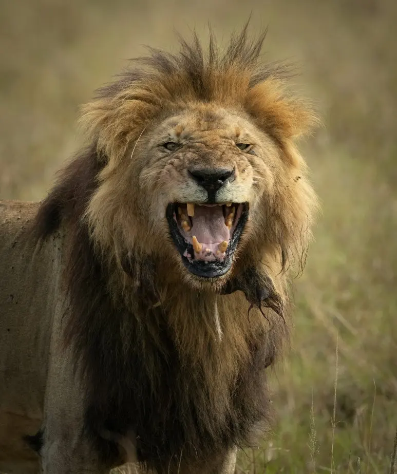 getty-images-tAozcvJGUR0-unsplash.jpg?type=w773