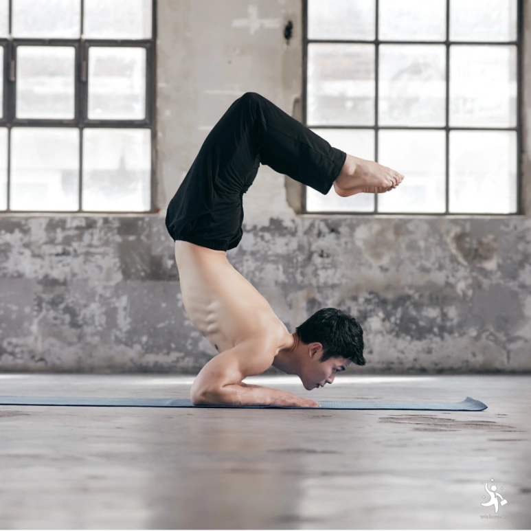 ECA781EC9EA5EC9DB8EC9D98_ECA090EC8BACEC8B9CEAB084EC9D80_ED9CB4EC8B9DEC8B9CEA.png?type=w773