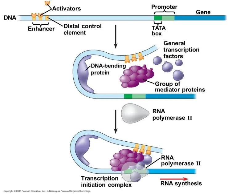 %EC%A0%84%EC%82%AC%EC%9D%B8%EC%9E%902.jpg?type=w800