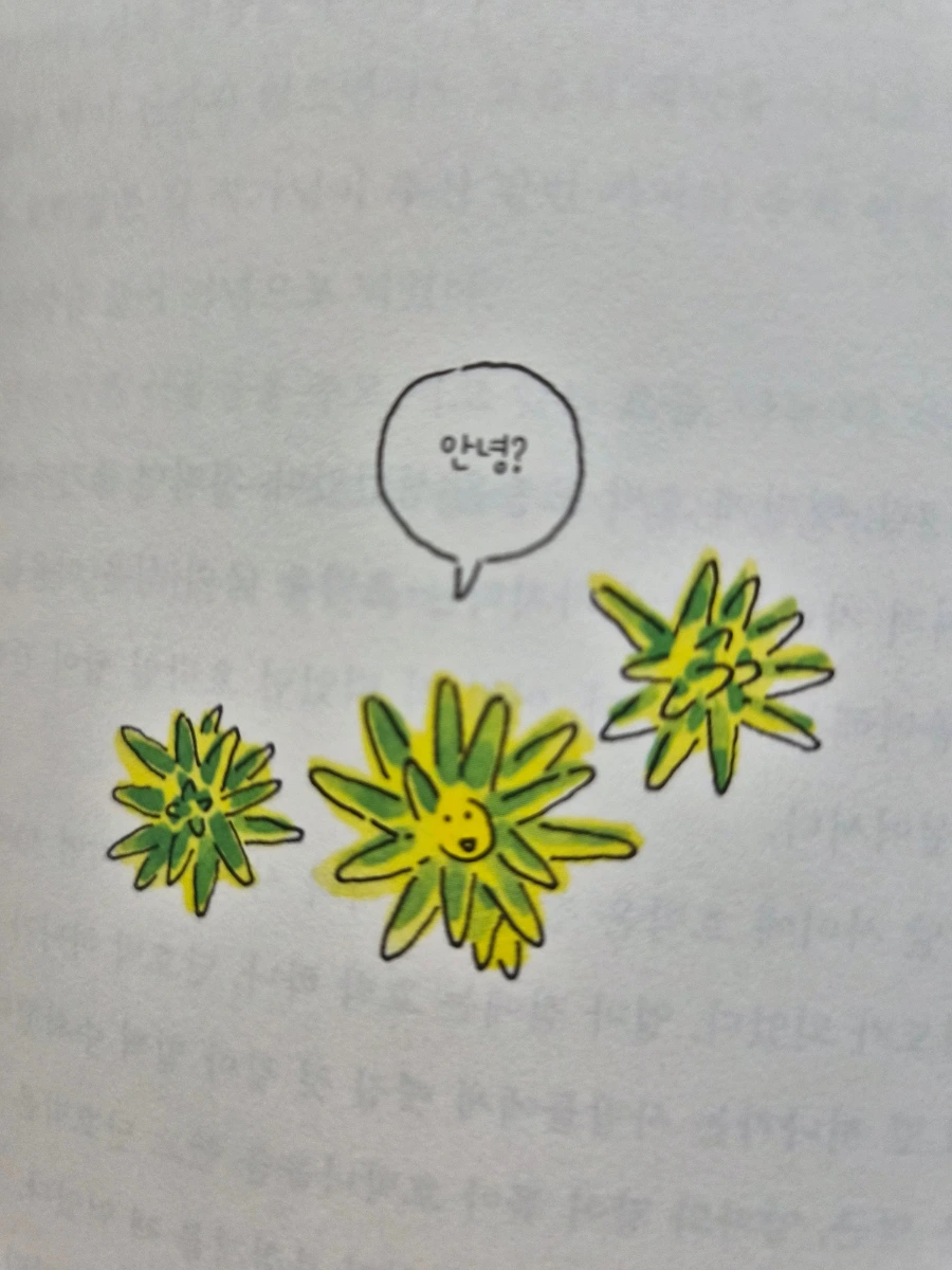 900%EF%BC%BF20250812%EF%BC%BF085038.jpg?type=w966