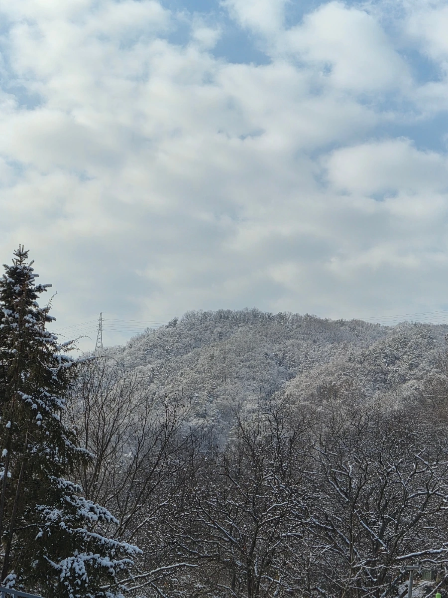 900%EF%BC%BF20251215%EF%BC%BF124828.jpg?type=w966