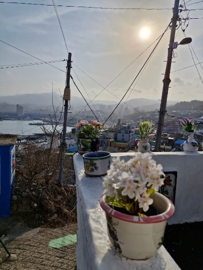 400%EF%BC%BF20250326%EF%BC%BF164719.jpg?type=w466