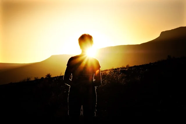 ulf-meyer-2ZyM2vjcld8-unsplash.jpg?type=w1