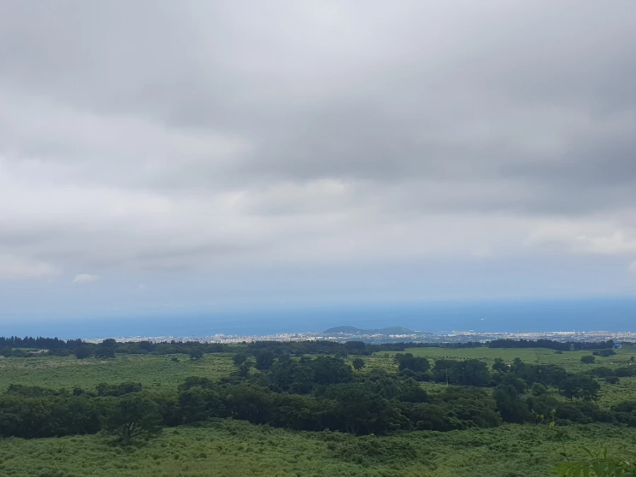 900%EF%BC%BF20250816%EF%BC%BF124837.jpg?type=w966