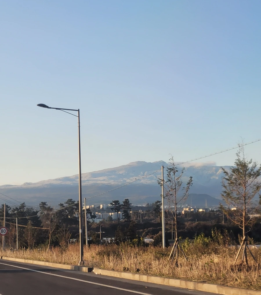 900%EF%BC%BF1766879698142.jpg?type=w1