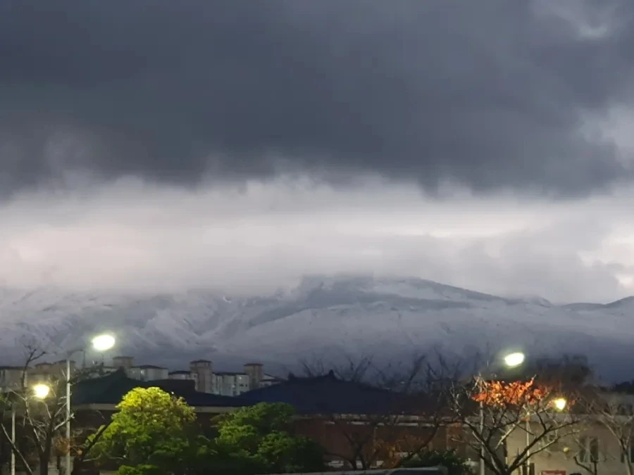 900%EF%BC%BF20251204%EF%BC%BF071132.jpg?type=w1