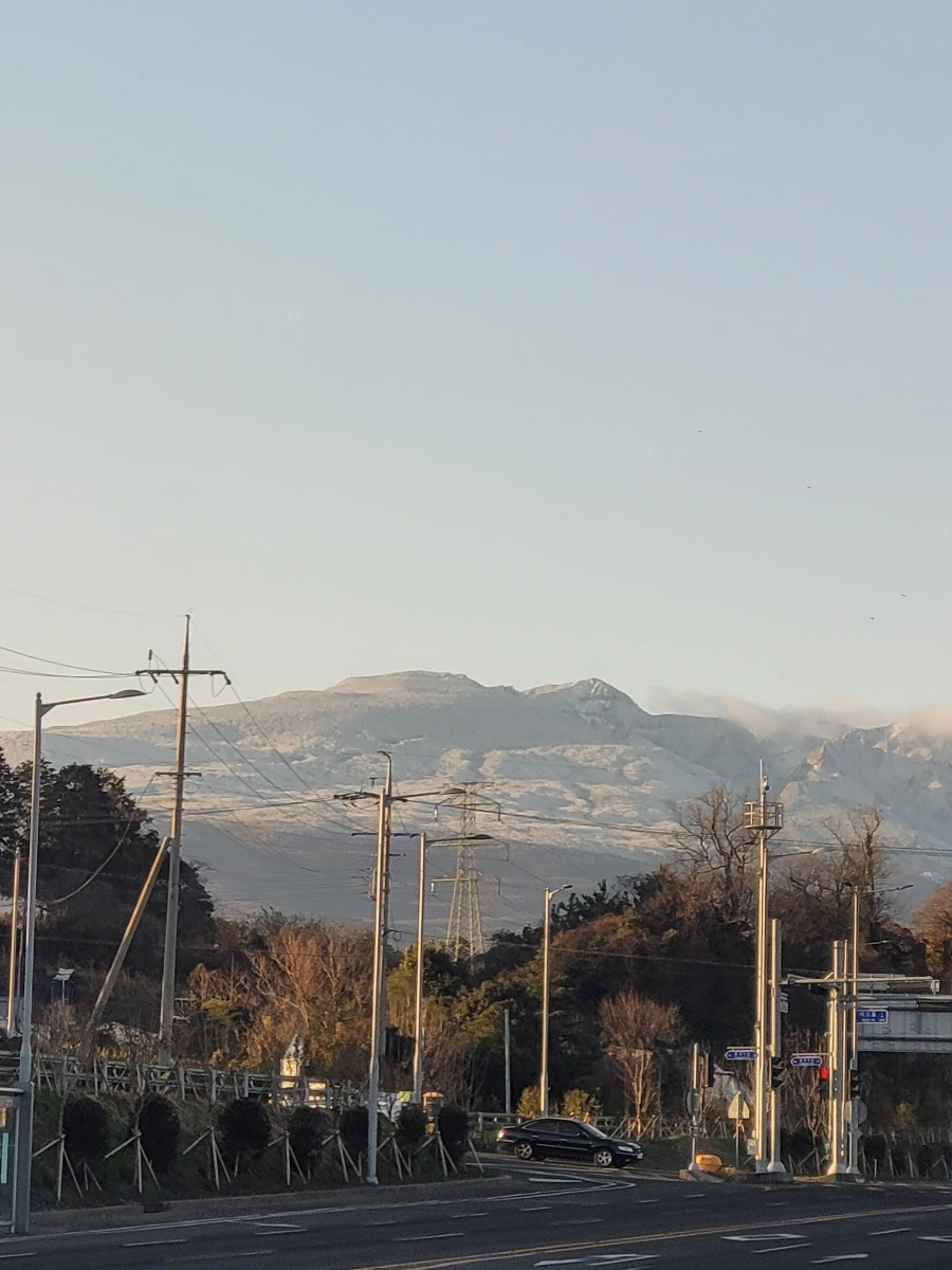 900%EF%BC%BF1766879694657.jpg?type=w1