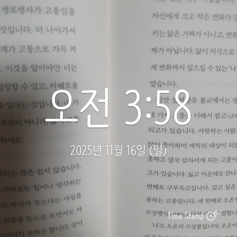 900%EF%BC%BF2025%EF%BC%8D11%EF%BC%8D16T03%EF%BC%BF58%EF%BC%BF22.933.jpg?type=w1