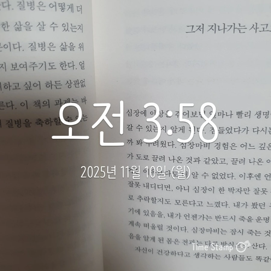 900%EF%BC%BF2025%EF%BC%8D11%EF%BC%8D10T03%EF%BC%BF58%EF%BC%BF45.098.jpg?type=w1