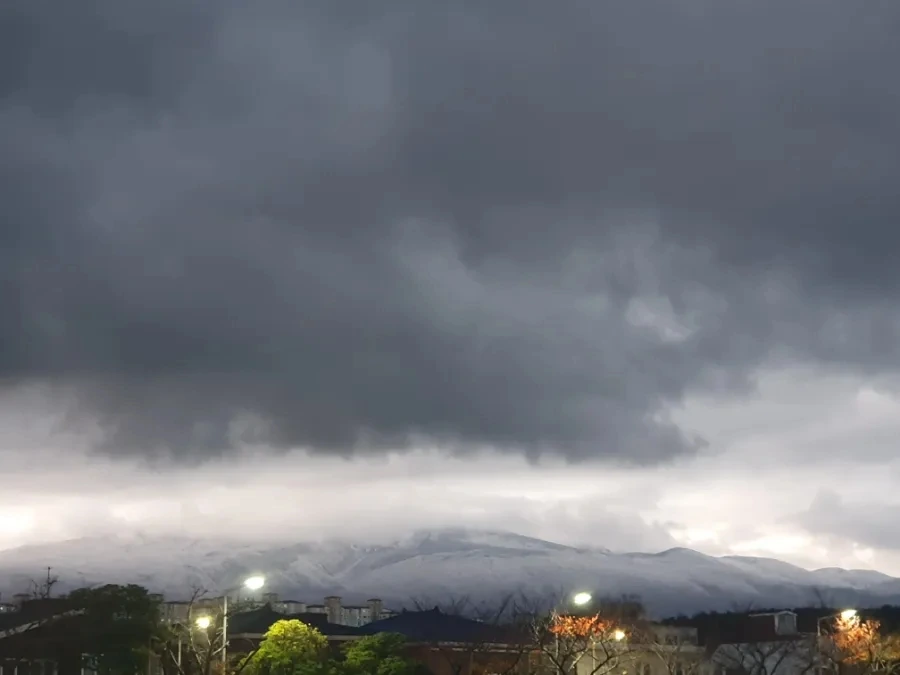 900%EF%BC%BF20251204%EF%BC%BF071124.jpg?type=w1