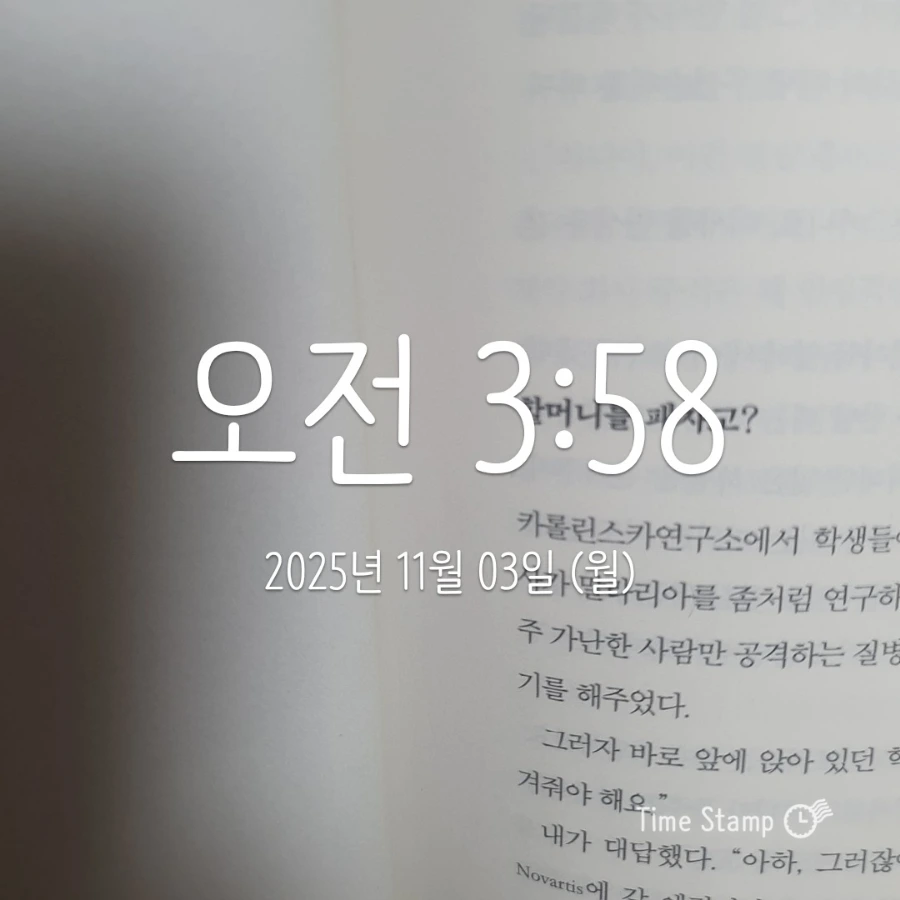 900%EF%BC%BF2025%EF%BC%8D11%EF%BC%8D03T03%EF%BC%BF58%EF%BC%BF08.939.jpg?type=w1