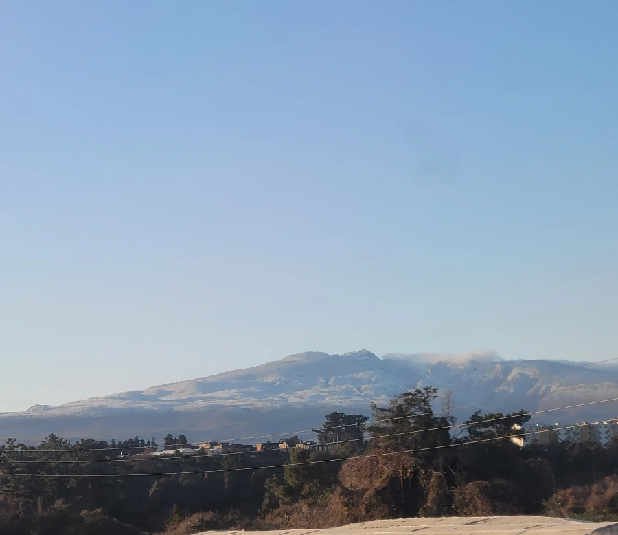 900%EF%BC%BF1766879696431.jpg?type=w1