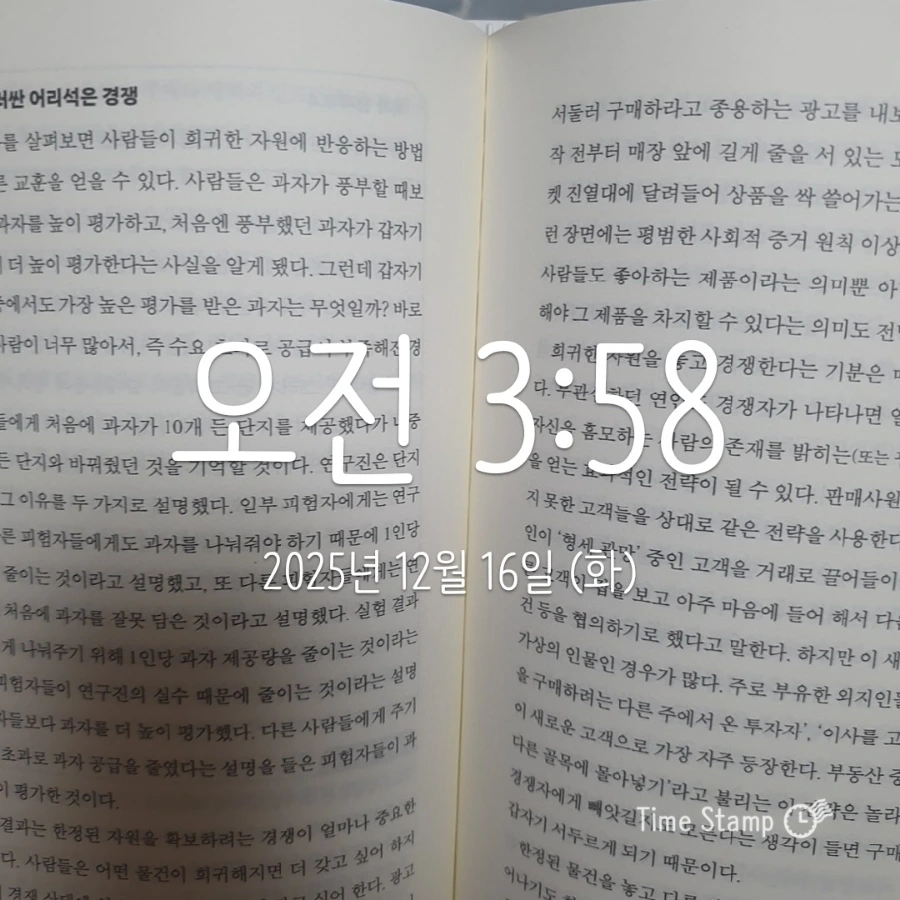 900%EF%BC%BF2025%EF%BC%8D12%EF%BC%8D16T03%EF%BC%BF58%EF%BC%BF43.548.jpg?type=w1