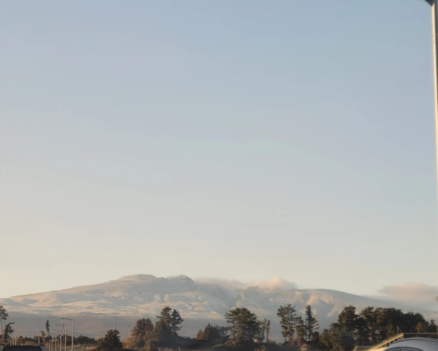 900%EF%BC%BF1766879695631.jpg?type=w1