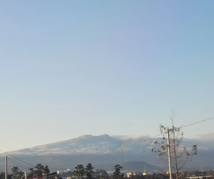 900%EF%BC%BF1766879697995.jpg?type=w1