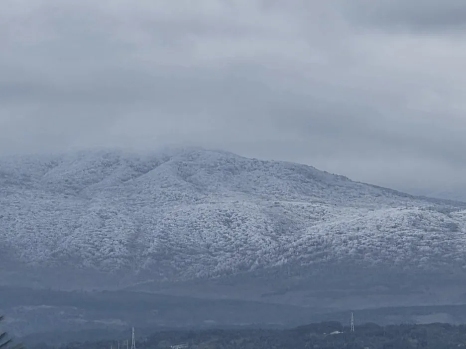 KakaoTalk_20251204_134005723.jpg?type=w1