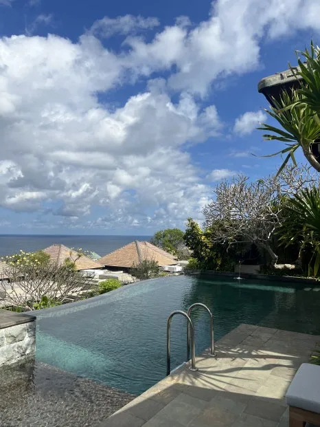 P20230730_155450250_6A7EDAB9-4072-450C-BA3A-2F5238F260C9.jpg?type=w466