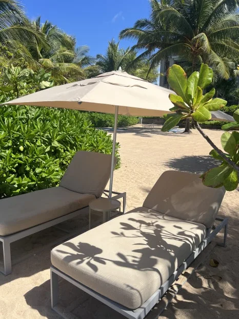 P20230727_122722312_ACFF3E00-0234-48BF-8B57-3EC3EF58DCF1.jpg?type=w466