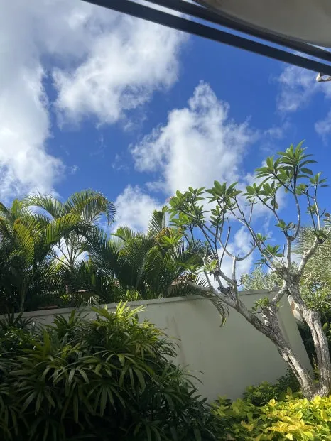 P20230729_152910368_AE478FE1-7C96-47D9-8CFA-9F6781F21D7B.jpg?type=w466