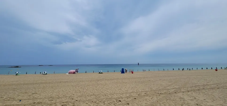 20220808_103410.jpg?type=w966