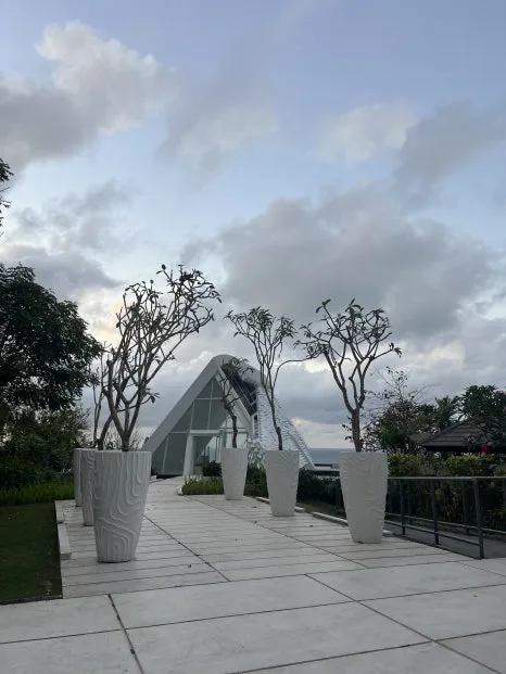 P20230731_073500909_6ACBDAEC-2FAC-4A3B-8B4C-308C0D0A500B.jpg?type=w466