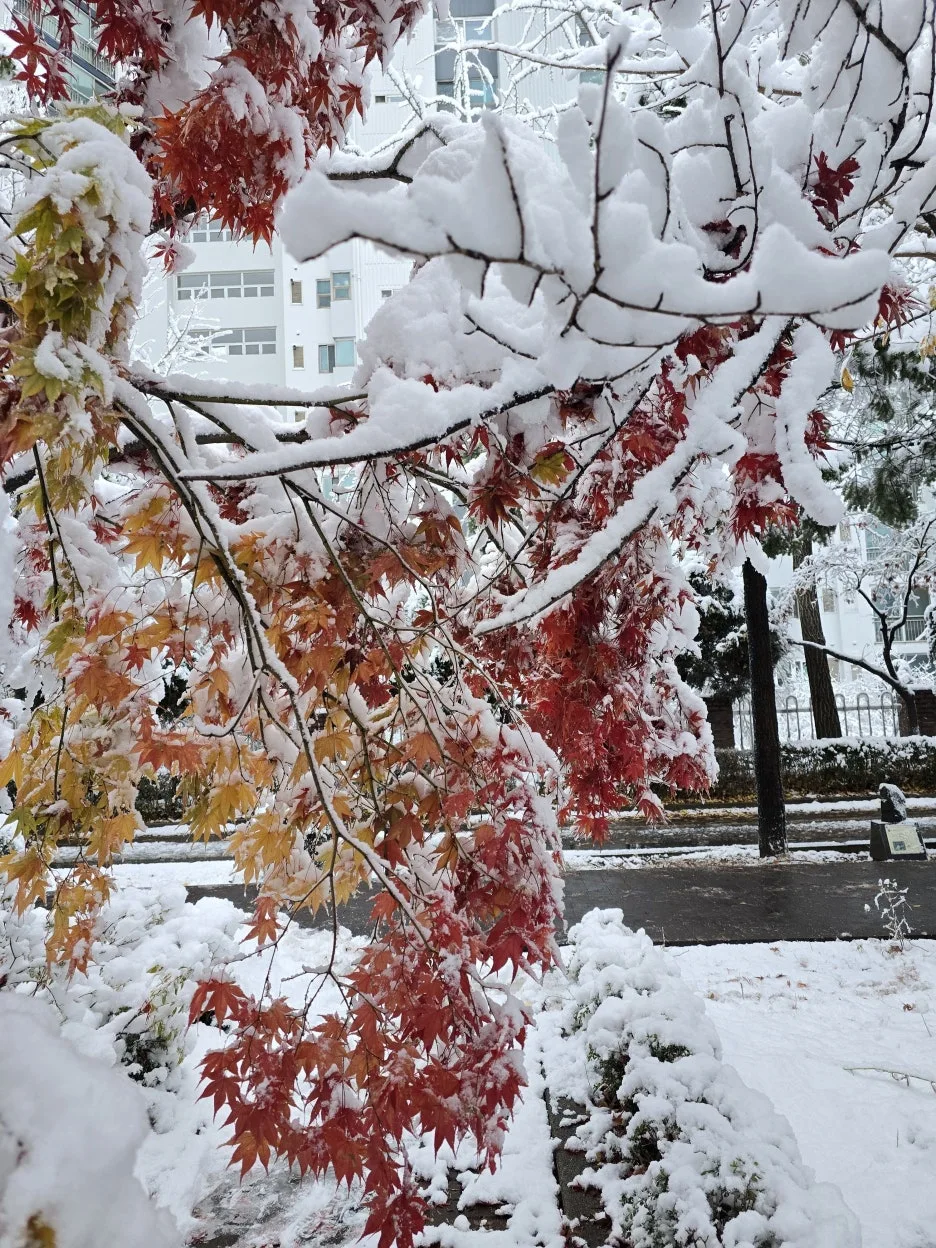 20241127_081426.jpg?type=w1