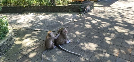 20230726_130114.jpg?type=w466