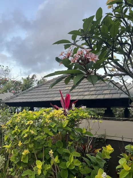 P20230731_073711418_F50F895E-F4D2-438E-8B9D-1765BD7776FF.jpg?type=w466