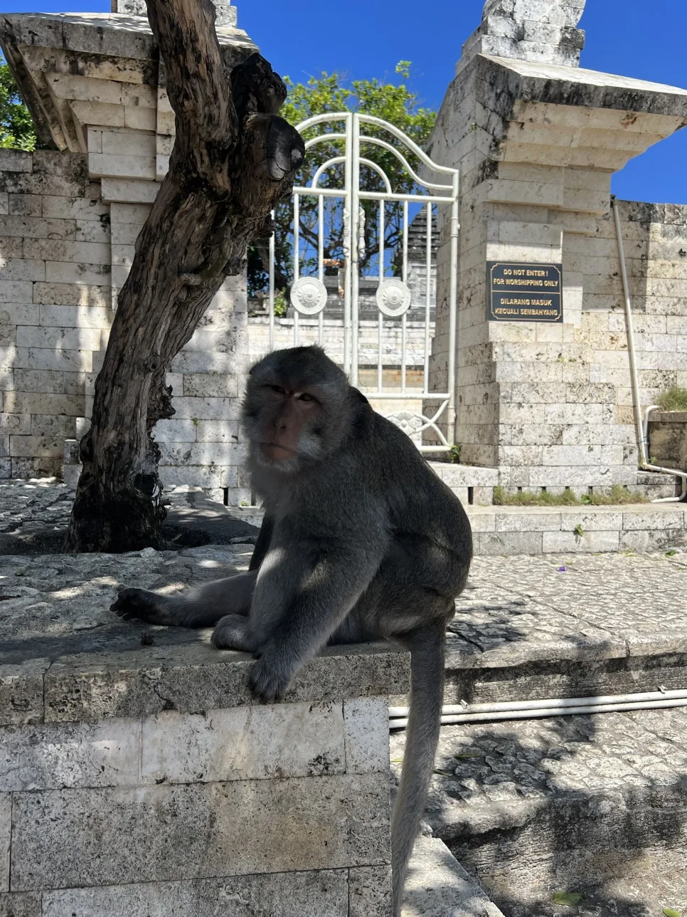 P20230726_133517461_E3AF773E-F6B7-4539-BB97-E48499A53557.jpg?type=w966