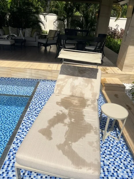 P20230728_124425417_857D3C9C-AB09-4FAF-924C-419FD990195B.jpg?type=w466