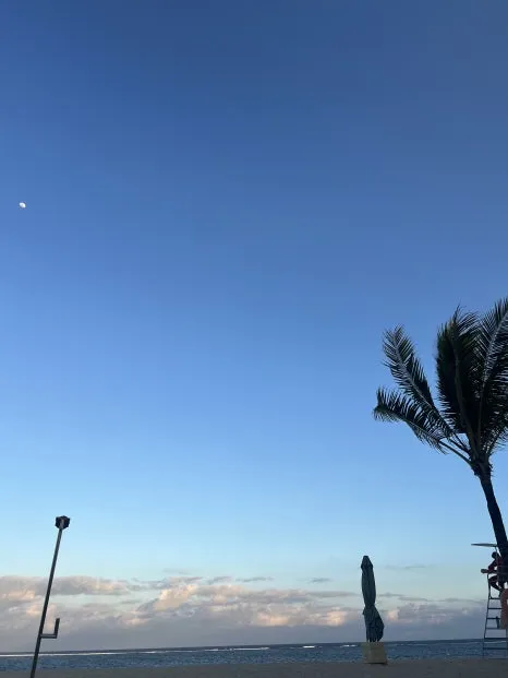 P20230729_185655115_FD1C7640-DA22-45A1-A858-2C72206BC502.jpg?type=w466