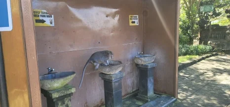 20230726_130130.jpg?type=w466