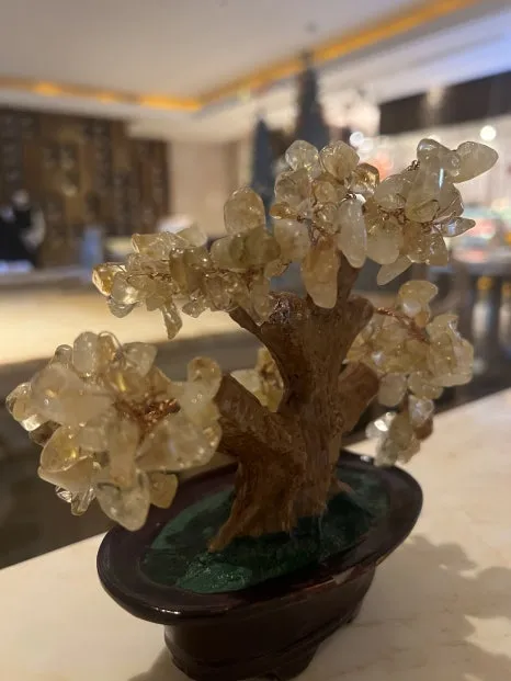 P20230727_140756480_68390B01-2E27-4A7F-86E6-550BD4CC1058.jpg?type=w466