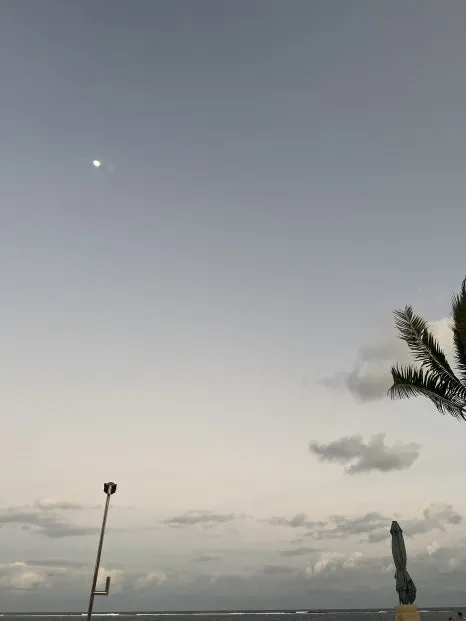 P20230729_192630563_1D868D16-1765-4844-909C-6170F8880C26.jpg?type=w466