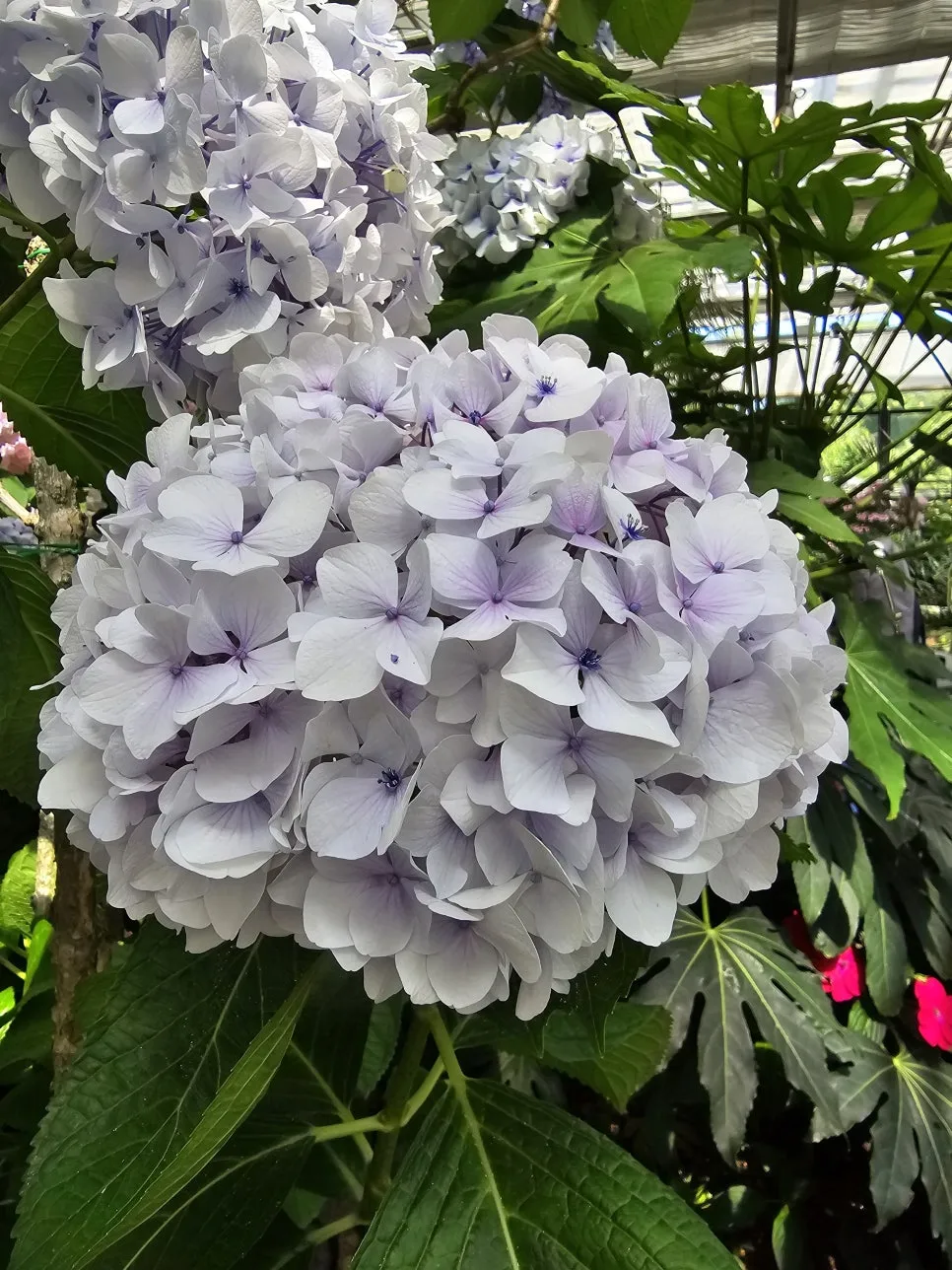 KakaoTalk_20240511_071306884_04.jpg?type=w966