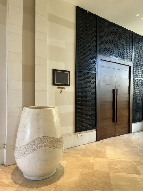 P20230730_141622691_93141942-3EDD-488A-9DEE-EA47925954CF.jpg?type=w466