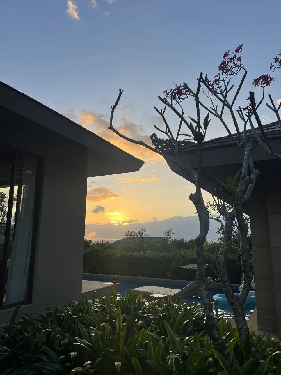 P20230728_074708129_6758D7D7-D2D5-430E-AECA-41A9C8CD2722.jpg?type=w966