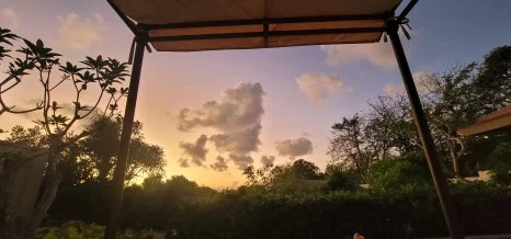 20230727_061746.jpg?type=w466