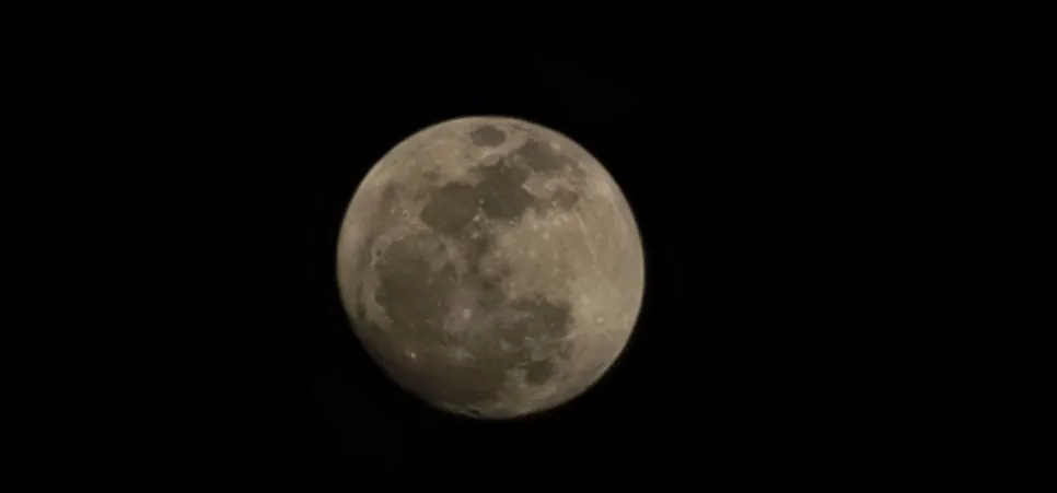 20230731_193221.jpg?type=w966