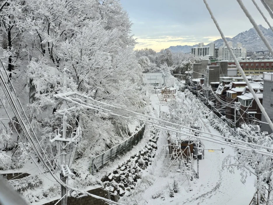 20241127_080518.jpg?type=w1