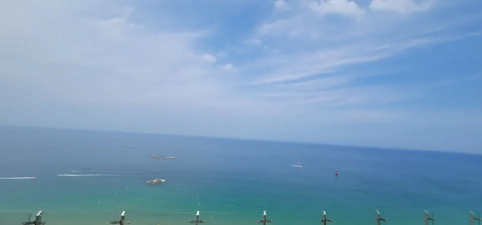 20220807_145138.jpg?type=w966