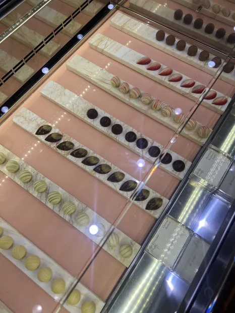 P20230727_135418635_8CE124D0-672A-48E5-A178-1C60096858F6.jpg?type=w466