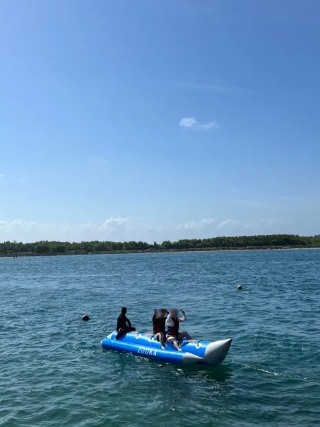 SE-7df3b789-35e8-4522-9a65-0c64c28d51fa.jpg?type=w466