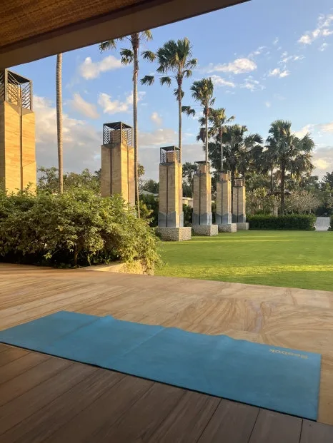 P20230728_075710537_D4CCA606-F09B-44B7-AD81-5A6702CC223C.jpg?type=w466