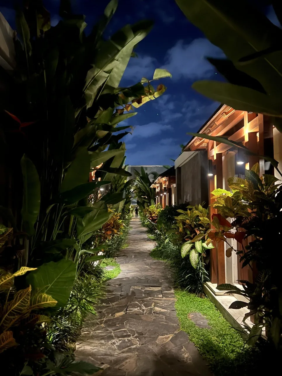 1690297188023.jpg?type=w966