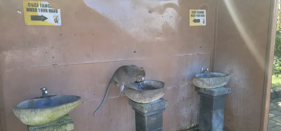 20230726_130133.jpg?type=w966