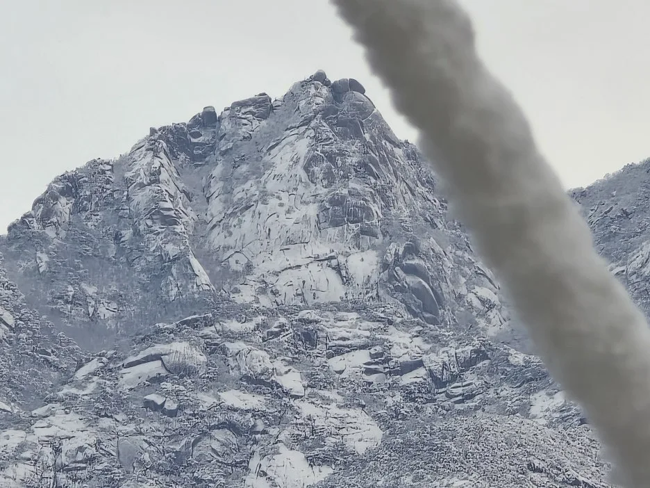 20241127_080543.jpg?type=w1