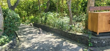 20230726_130122.jpg?type=w466